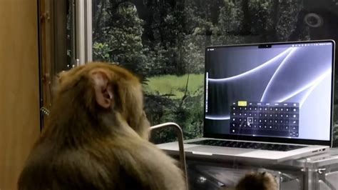 Elon Musk Shows Latest Neuralink Demo of Monkey Typing with its Mind - Video - CNET