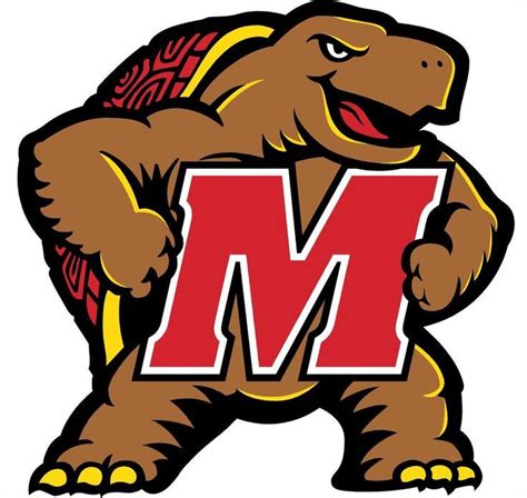 University of Maryland super fan thrives on 30 years of dedication to ...