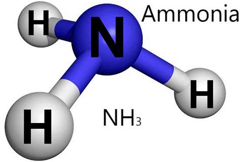 Ammonia, anhydrous ammonia, uses, levels, test & ammonia health effects