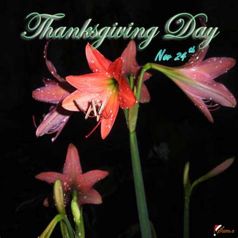 November. Free Happy Thanksgiving eCards, Greeting Cards | 123 Greetings