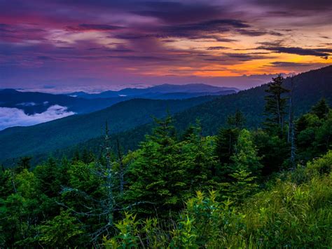 The 9 Best Great Smoky Mountains National Park Hotels and Lodges