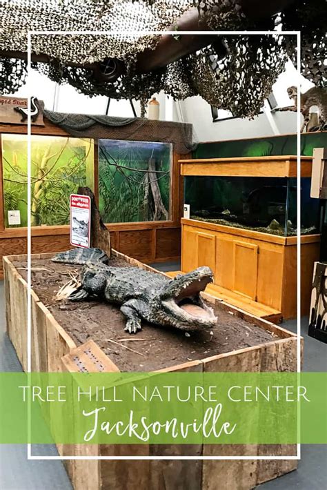 Tree Hill Nature Center - Jacksonville Beach Moms