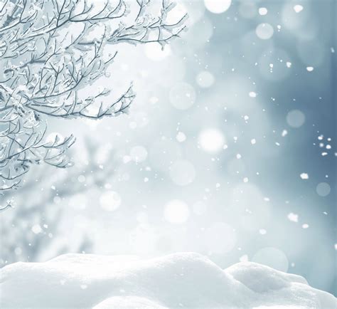 Snowy Background with Branches | Winter background, Background, Snowflake wallpaper