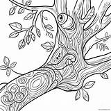 Detailed Tree Branch Coloring Page 50983 40329 sketch template