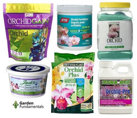 Orchid Fertilizer Myths - Grow More Flowers