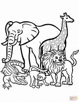25  Elegant Image Of Wild Animal Coloring Pages Birijuscom sketch template