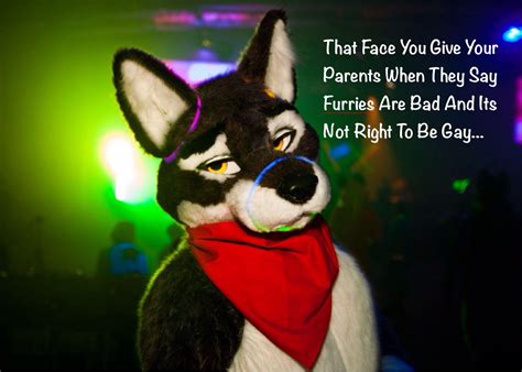 Lmao i found this picture and I put the quote on it XD | Fursuit furry, Furry meme, Anthro furry