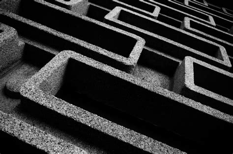 The Maze Free Stock Photo - Public Domain Pictures