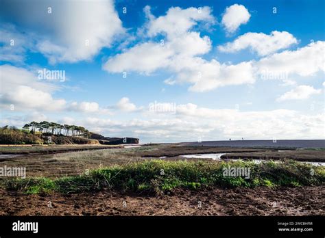 lower Otter River Restoration Project. Otter Head Stock Photo - Alamy