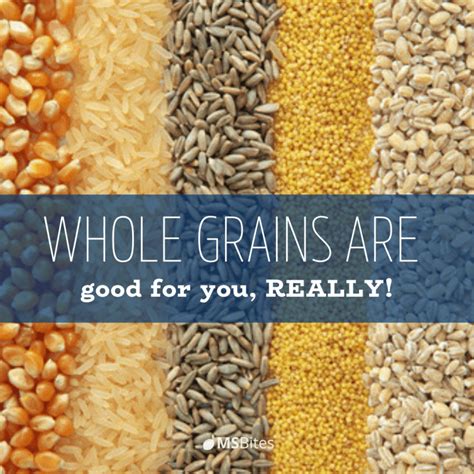 Whole Grains Are Good For You, Really! - MSBites