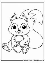 15 Squirrel Coloring Pages 100% Free Printables sketch template