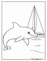 50 Dolphin Coloring Pages Free Printable PDFs sketch template
