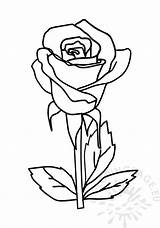 Rose Coloring Bud Rosebud Pages Drawing Simple Drawings Easy Flower  sketch template