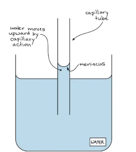 Adhesion Of Water Diagram