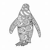 penguin mandala coloring Vector Illustration Kids And Adults Design  sketch template