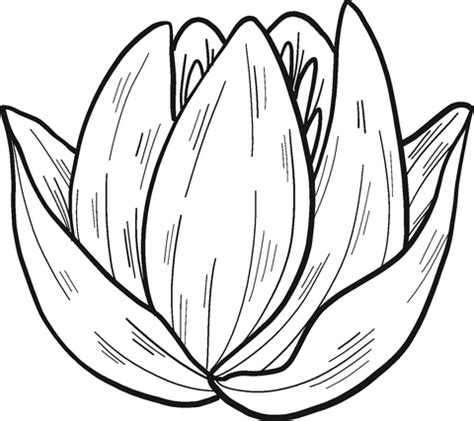 Water Lily by Ohara Koson Coloring Pages - Water lily Coloring Pages - Coloring Pages For Kids ...