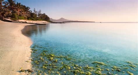 7 best beaches in Mauritius - Lonely Planet