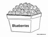 Fruit Coloring Pages sketch template