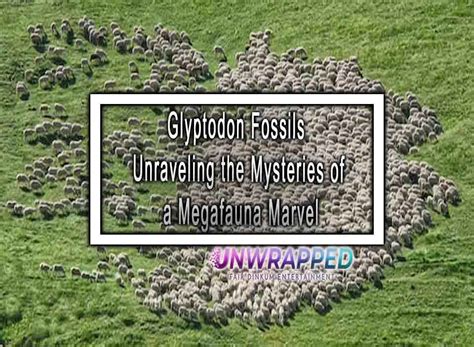 Glyptodon Fossils Unraveling the Mysteries of a Megafauna Marvel