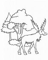 Free Printable Moose Coloring Pages For Kids sketch template