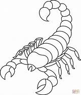 Scorpion Coloring Page  Free Printable Coloring Pages sketch template