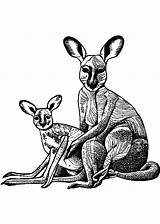 Mother Kangaroo And Baby Coloring Page · Creative Fabrica sketch template