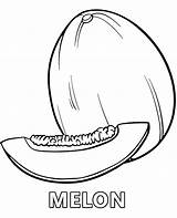 Melon coloring page Exotic Fruit sketch template