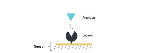 SPR vs ELISA | Comparing techniques for biomolecular detection