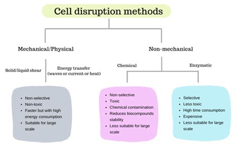 Microalgae Cell Disruption Methods | Encyclopedia MDPI