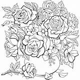 44 Flower Coloring Pages  Floral Adult Printable sketch template
