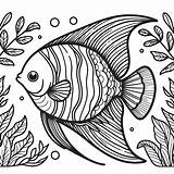 Beautiful Angelfish coloring Page  Download Print Or Color Online For sketch template