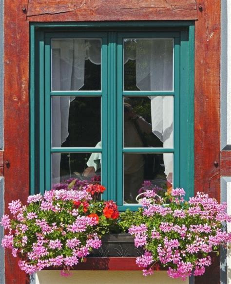 Free picture: window, house, wall, art, paint, facade