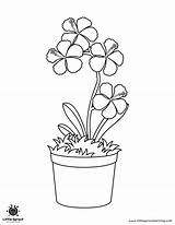 Sprout Online Coloring Pages sketch template