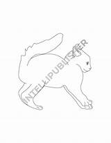 Purrfectly Coloring Pack SP sketch template