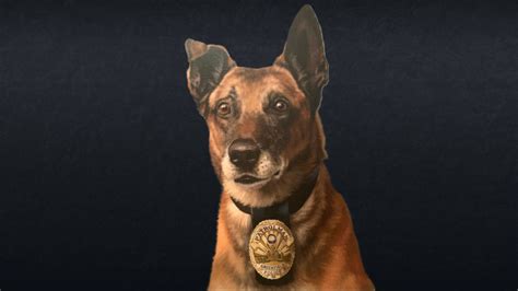 Greenfield Police Department K9 Eragon dies