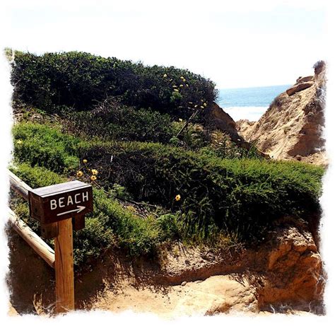 Torrey Pines, hiking trail in La Jolla CA. | Beautiful places, Favorite ...