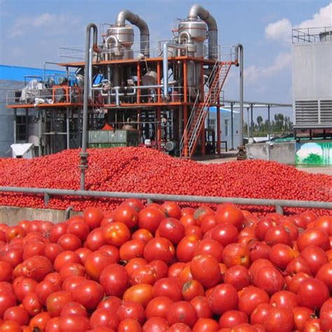 Tomato Paste Production Line for Making Tomato Sauce from Fresh Tomato