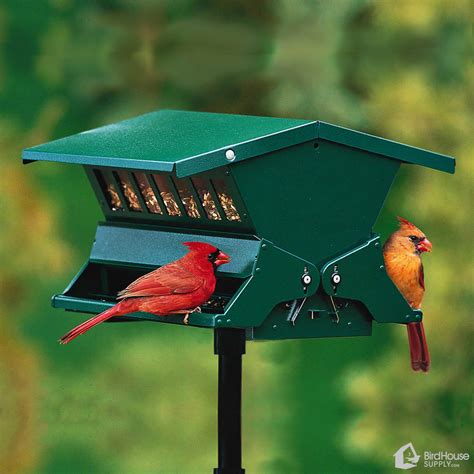 Woodlink Heritage Farms Absolute II Squirrel Resistant Bird Feeder ...