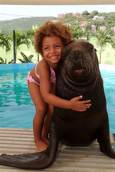 Best Sea Lion Swim & Coral World Admission Shore Excursion at St. Thomas - Eastern Caribbean ...