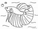 Fishing Rod Coloring Page At GetColoringscom  Free Printable sketch template