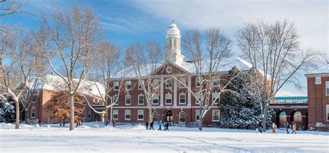 The University of Maine