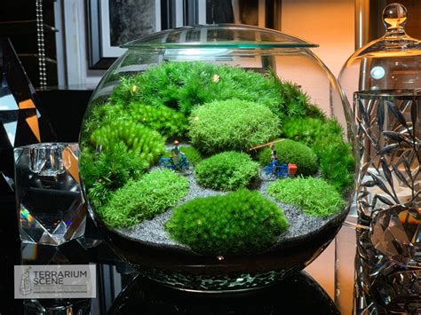 Terrarium Scene