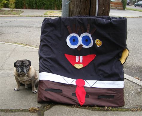 Pug With Black SpongeBob Squarepants | Part of the Disintere… | Flickr