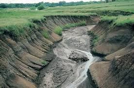 Soil Erosion Pictures