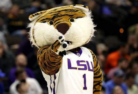 Why Is LSU's Mascot Named Mike?