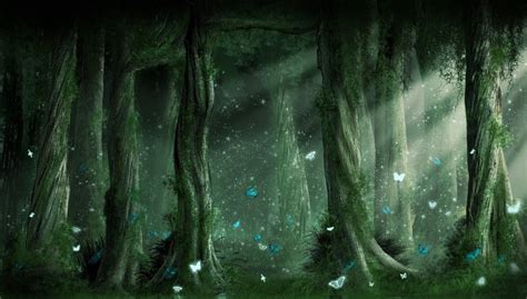 Hd Enchanted Forest Wallpaper