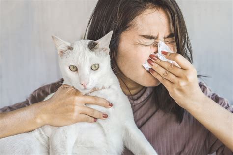 Science Gives Us A Vaccine For Those Of Us That Suffer From Cat Allergies