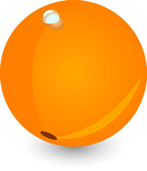 Orange Fruit Vitamins · Free vector graphic on Pixabay
