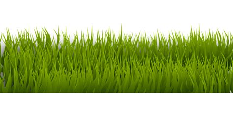 Download Grass, Background, Border. Royalty-Free Vector Graphic - Pixabay