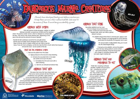 Poster: Dangerous Marine Creatures • Department of Primary Industries and Regional Development